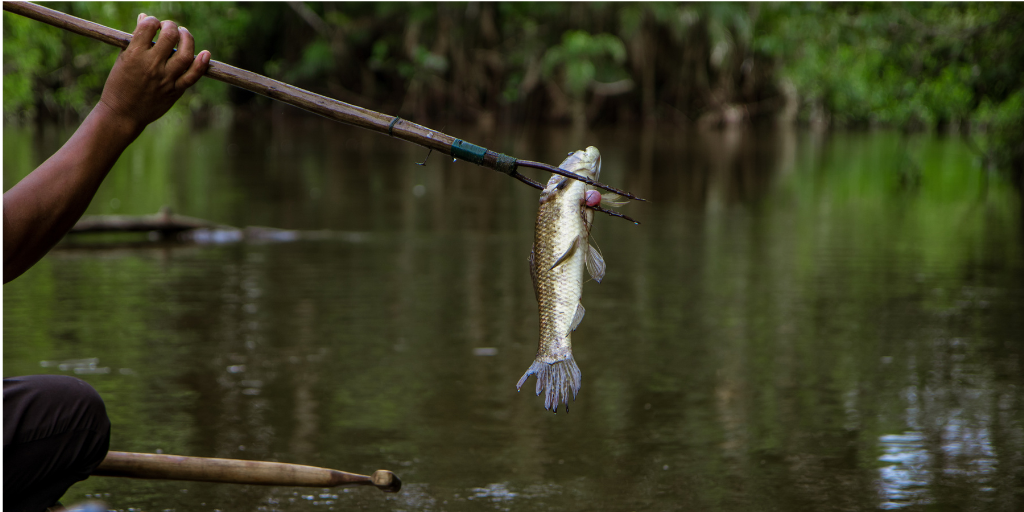Spear fishing image